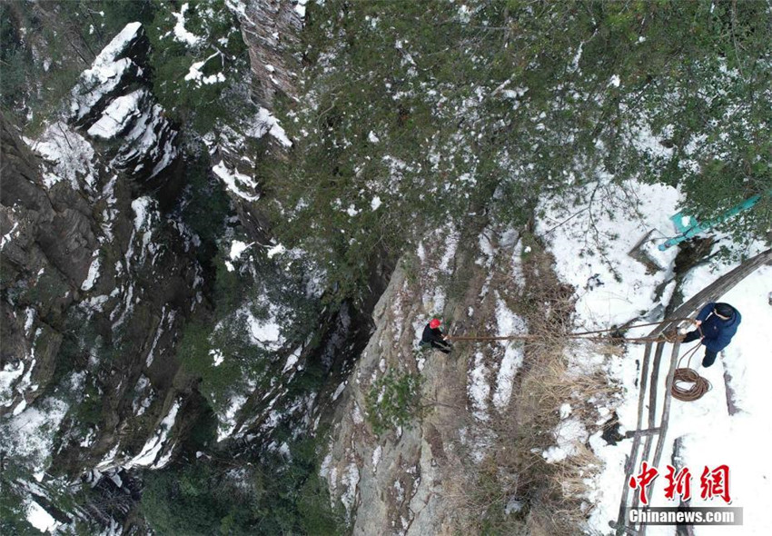 Müllsammeln am Steilhang
