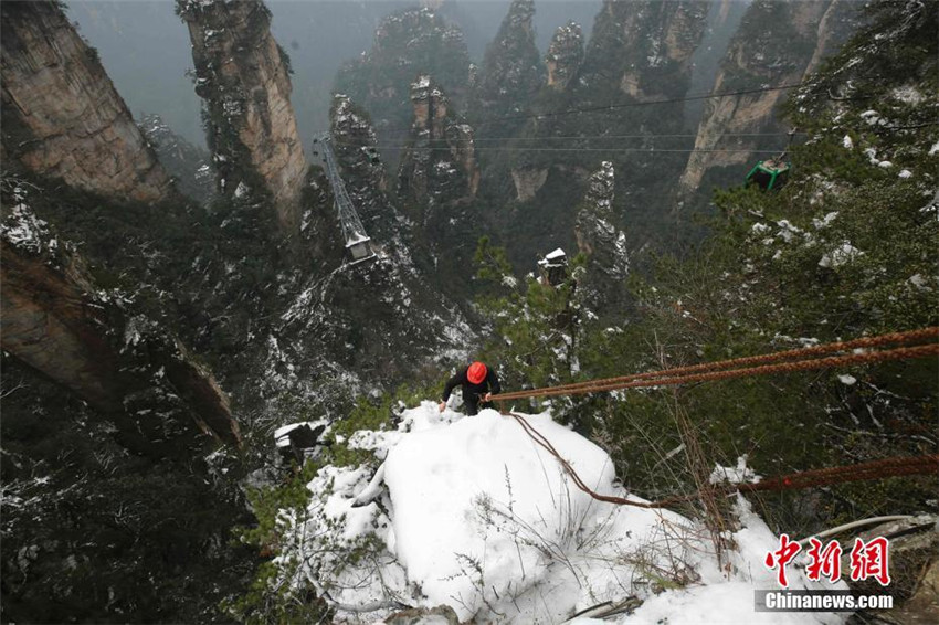 Müllsammeln am Steilhang