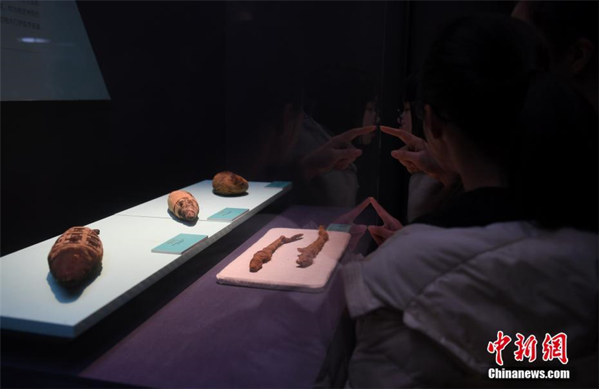 Ausstellung in Hangzhou stellt alte ?gyptische Kultur vor