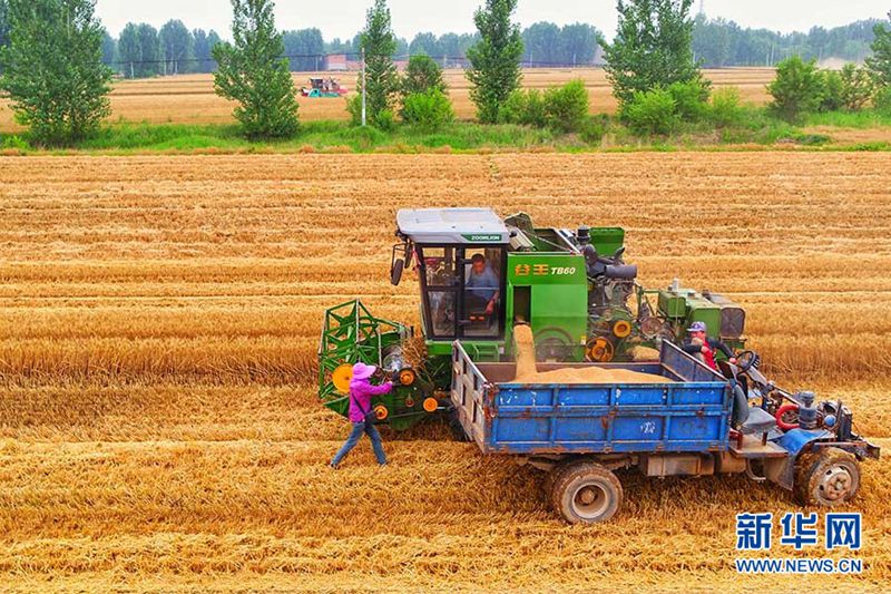 Zehn sch?ne Luftaufnahmen der Stadt Xiongan