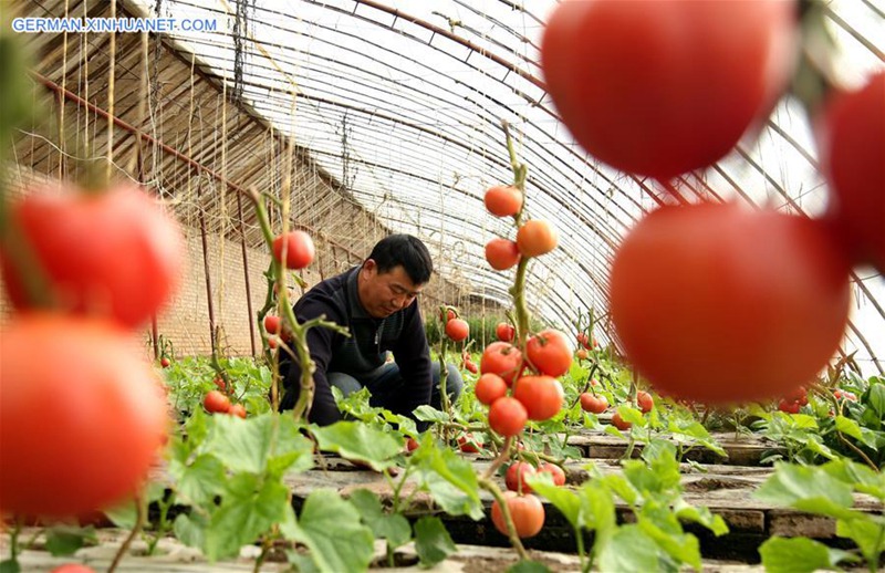 Dorfbewohner besch?ftigen sich im Vorfrühling mit Landarbeit