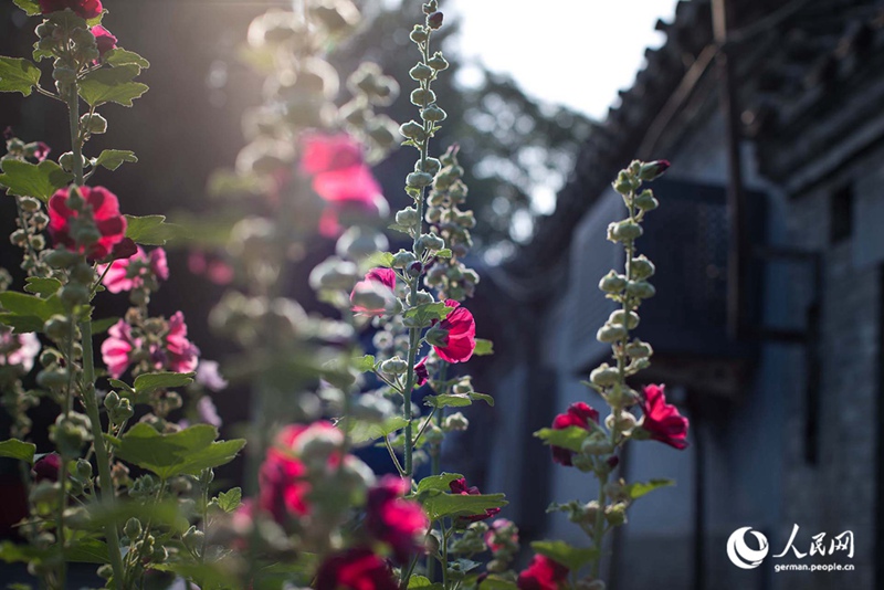 Tanja trifft … Beijing