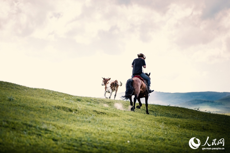 Die Innere Mongolei - Chinas wilder Norden