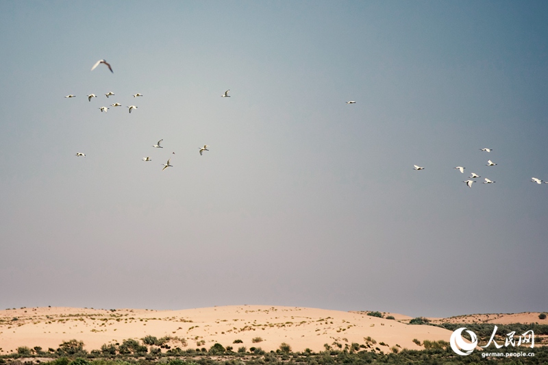 Die Innere Mongolei - Chinas wilder Norden