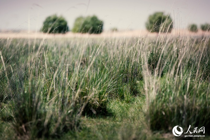 Die Innere Mongolei - Chinas wilder Norden
