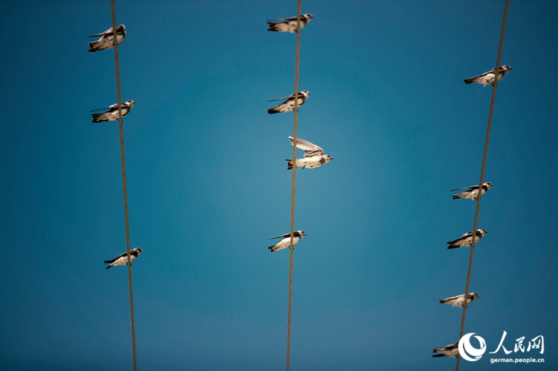 Die Innere Mongolei - Chinas wilder Norden