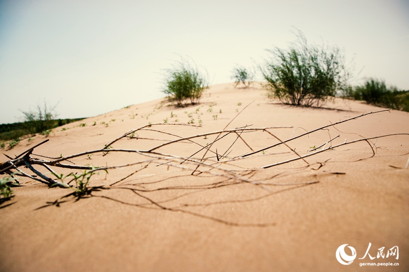 Die Innere Mongolei - Chinas wilder Norden