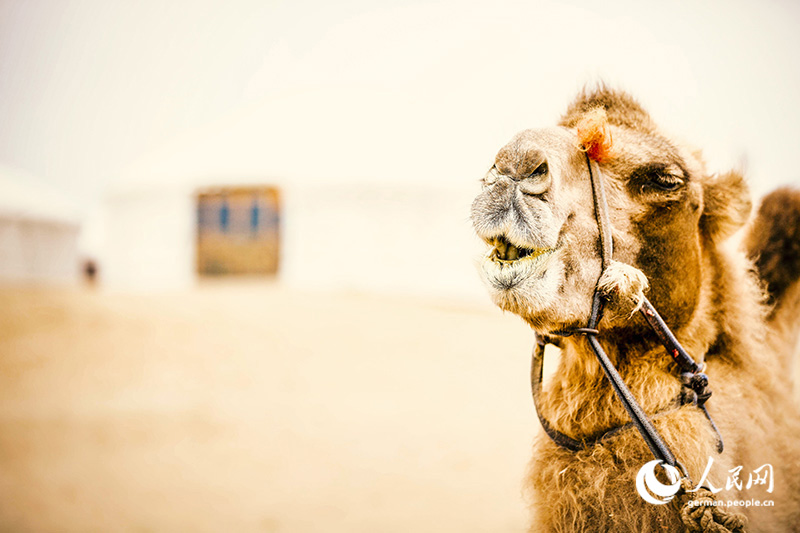 Innere Mongolei: Skurriler Touristenort in der Kubiqi-Wüste