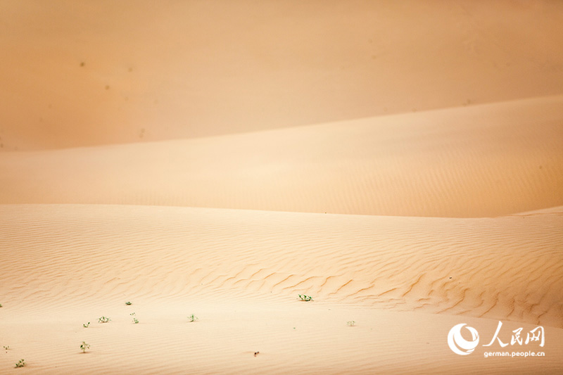 Tanja trifft … die Innere Mongolei