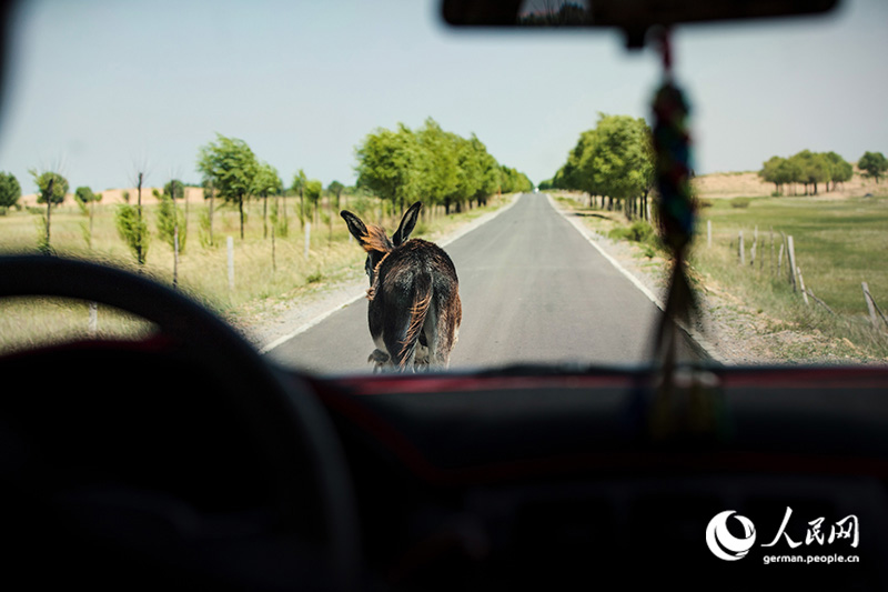 Tanja trifft … die Innere Mongolei