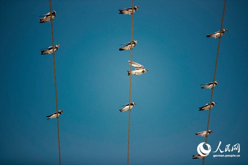 Tanja trifft … die Innere Mongolei
