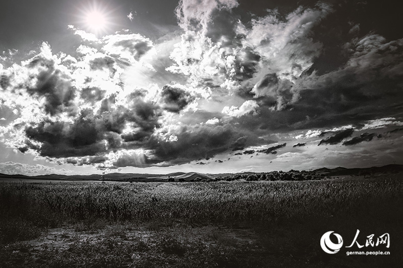 Pferde, Cowboys - Wilder Norden