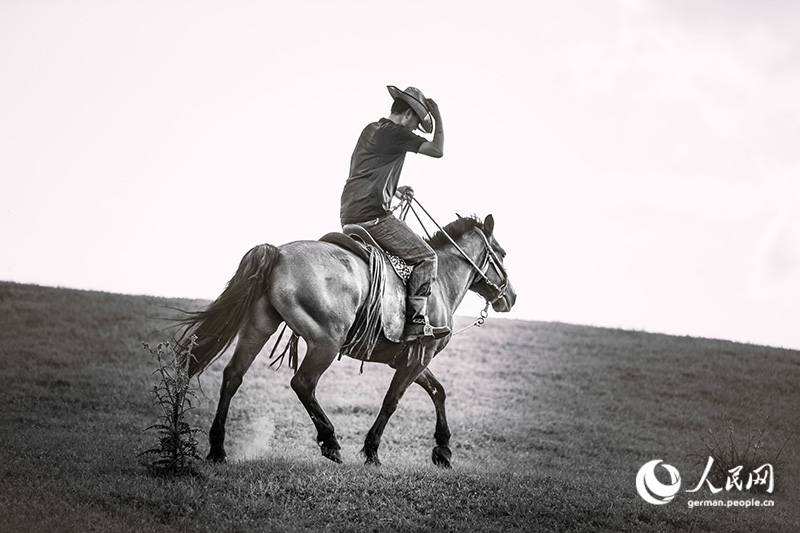 Pferde, Cowboys - Wilder Norden