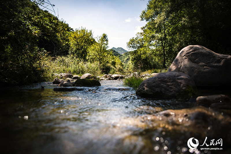 Endlich ist es wieder soweit: Das Wochenende steht vor der Tür!