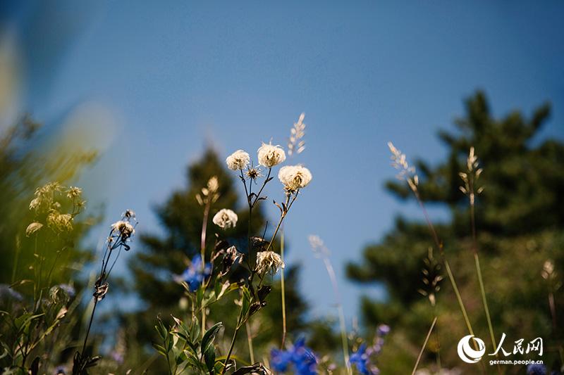 Endlich ist es wieder soweit: Das Wochenende steht vor der Tür!