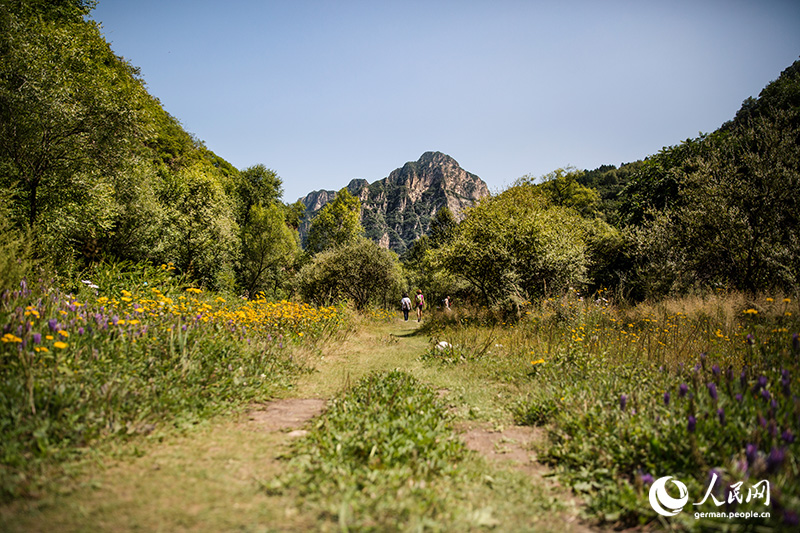 Endlich ist es wieder soweit: Das Wochenende steht vor der Tür!