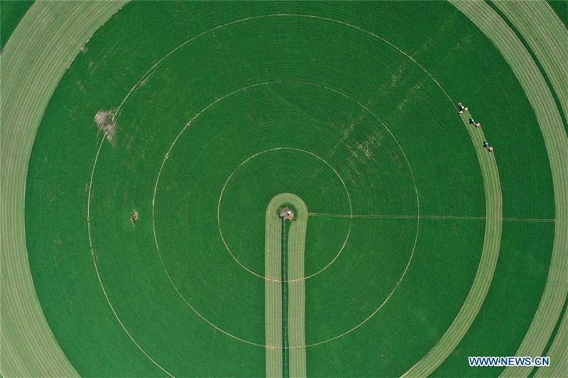 Menschen im ganzen Land feiern das chinesische Erntedankfest