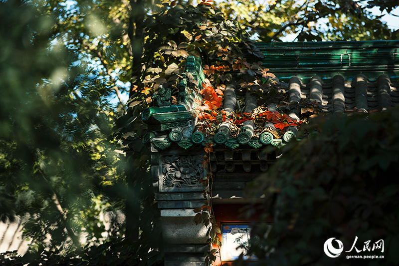 Ein Herbstspaziergang im Baiwangshan-Waldpark