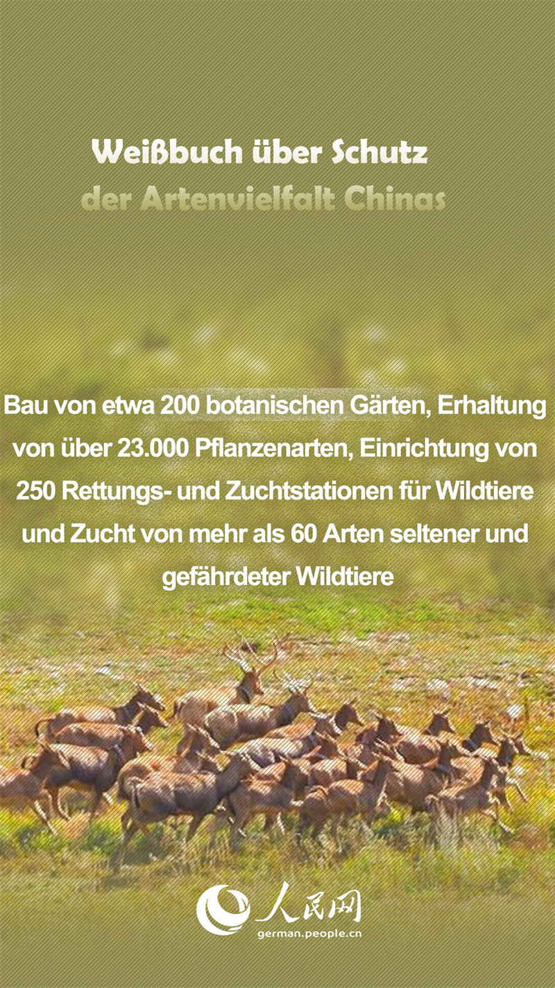 Wei?buch über Schutz der Artenvielfalt Chinas in Zahlen