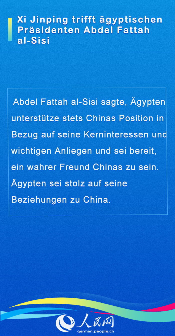 Internationale G?ste im Gespr?ch mit Chinas Staatspr?sident Xi (II)