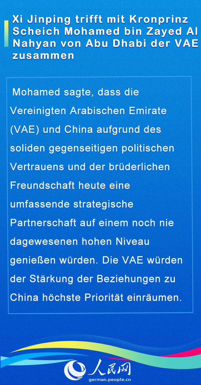 Internationale G?ste im Gespr?ch mit Chinas Staatspr?sident Xi (II)