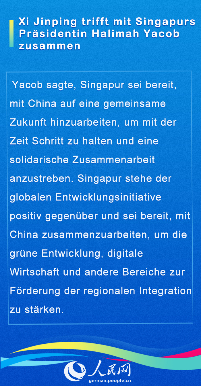 Internationale G?ste im Gespr?ch mit Chinas Staatspr?sident Xi (II)