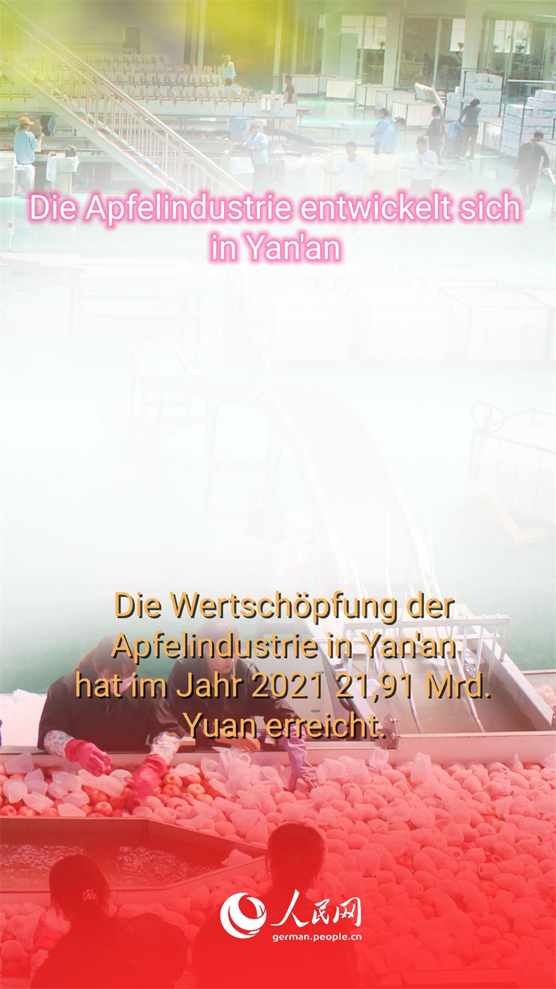 Warum sind die ?pfel aus Yan'an so beliebt?