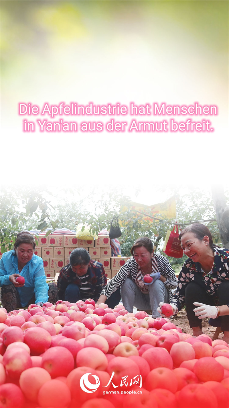 Warum sind die ?pfel aus Yan'an so beliebt?
