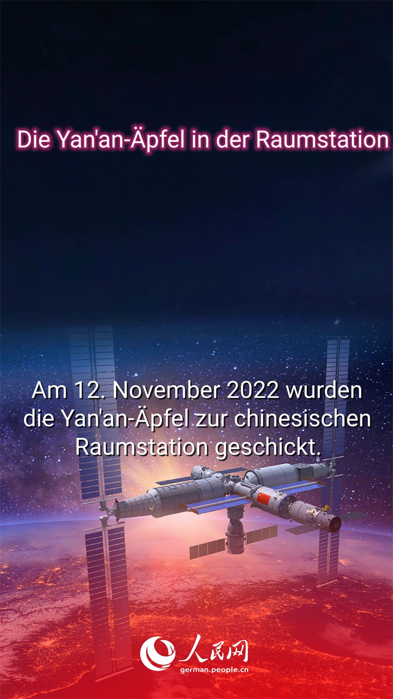 Warum sind die ?pfel aus Yan'an so beliebt?