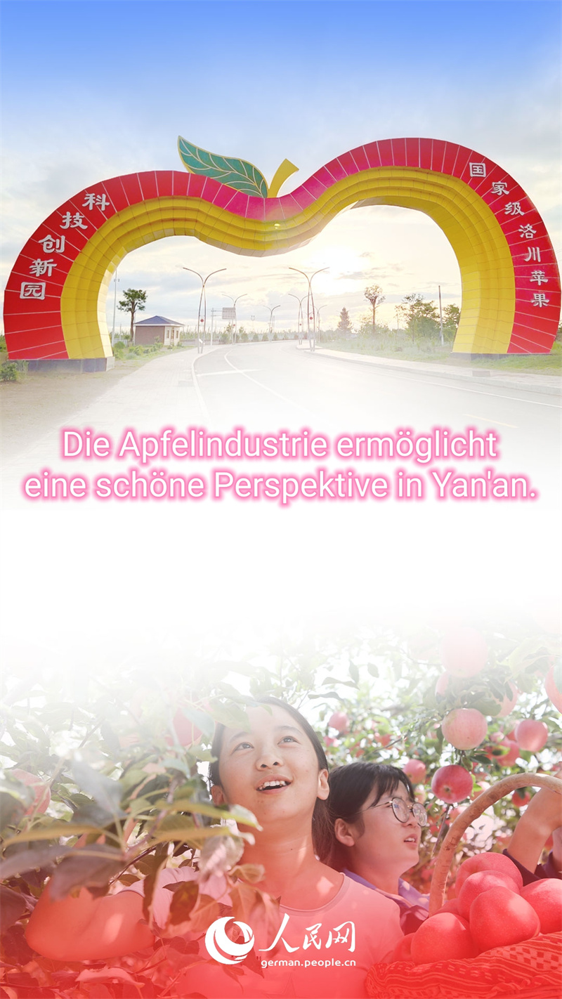 Warum sind die ?pfel aus Yan'an so beliebt?