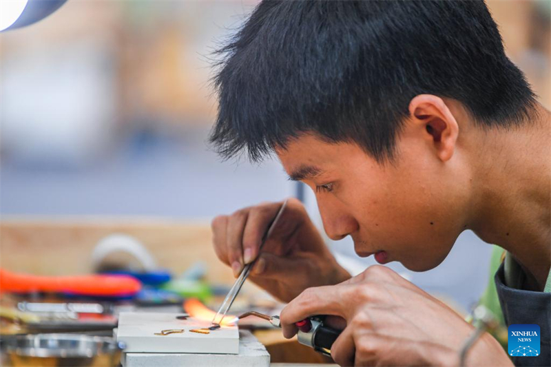 Globale Talente versammeln sich zum internationalen Kompetenzwettbewerb