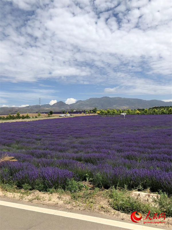 Ein Deutscher erlebt Xinjiang (Ⅲ)