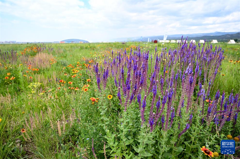 Hohhot: Chilechuan-Steppe zieht zahlreiche Touristen an