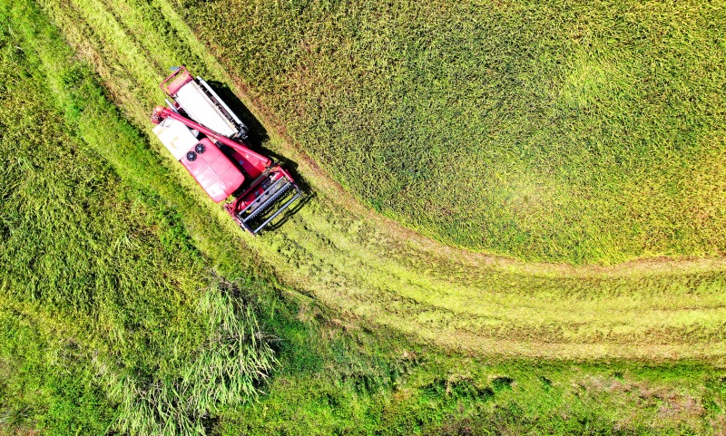 Erntebeginn für gro?fl?chigen Frühreis