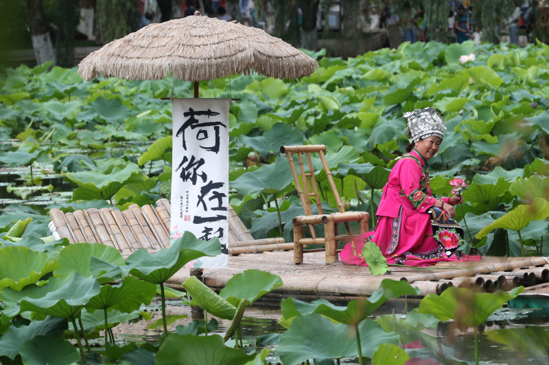 Kunming: 12. Lotusblumenausstellung im Cuihu-Park er?ffnet