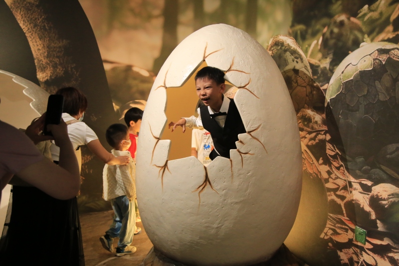 Ein Spaziergang durch den ?Jurassic Park“ - über 500 wertvolle Fossilien in Beijing ausgestellt