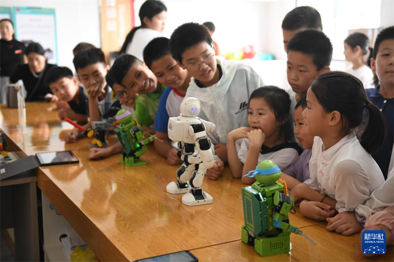 Kunterbunte Sommerferien