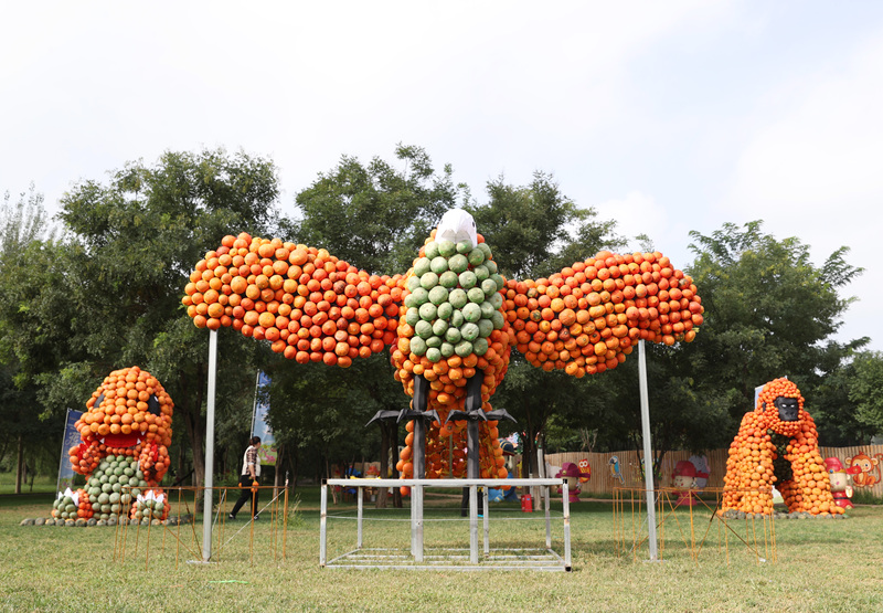 Yinchuan erschafft ?Kürbisk?nigreich“