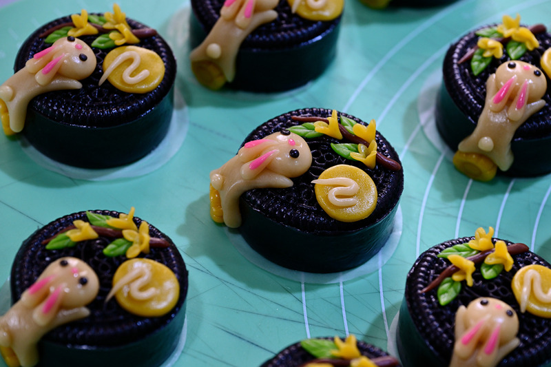 Handgemachte ?China-Chic“-Mondkuchen – Vielf?ltig und exquisit