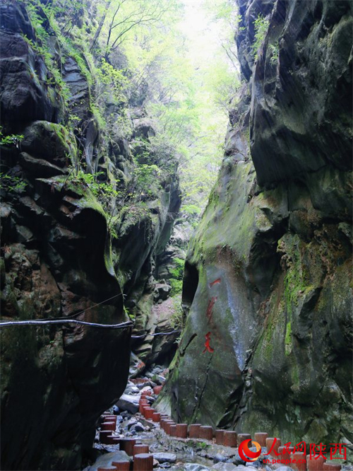 ?kologisch grüne Landschaft im experimentellen Forst Houzhenzi