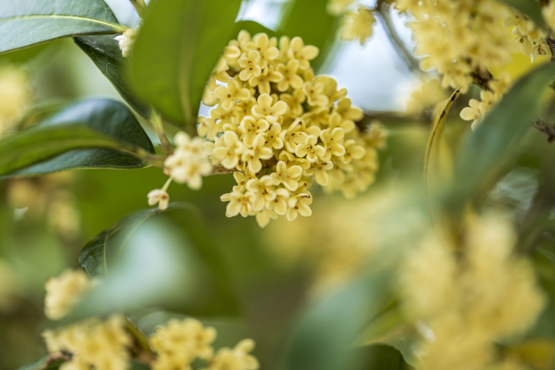 Der Kalte Tau ist da