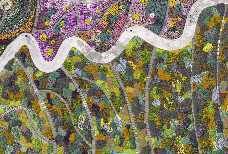 Blütenmeer im Manhua-Garten in Chengdu