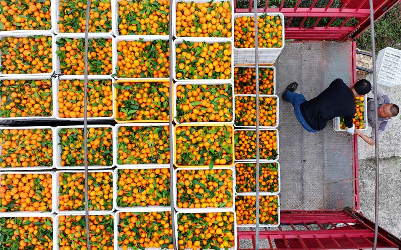 Erntezeit und Aussaat im Wechsel der Jahreszeiten