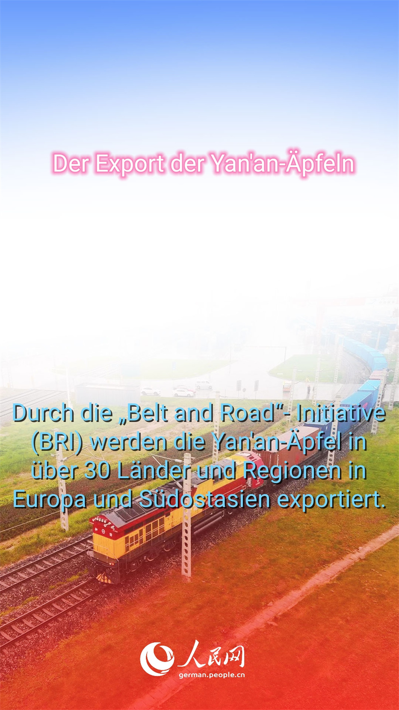 Warum sind die ?pfel aus Yan'an so beliebt?