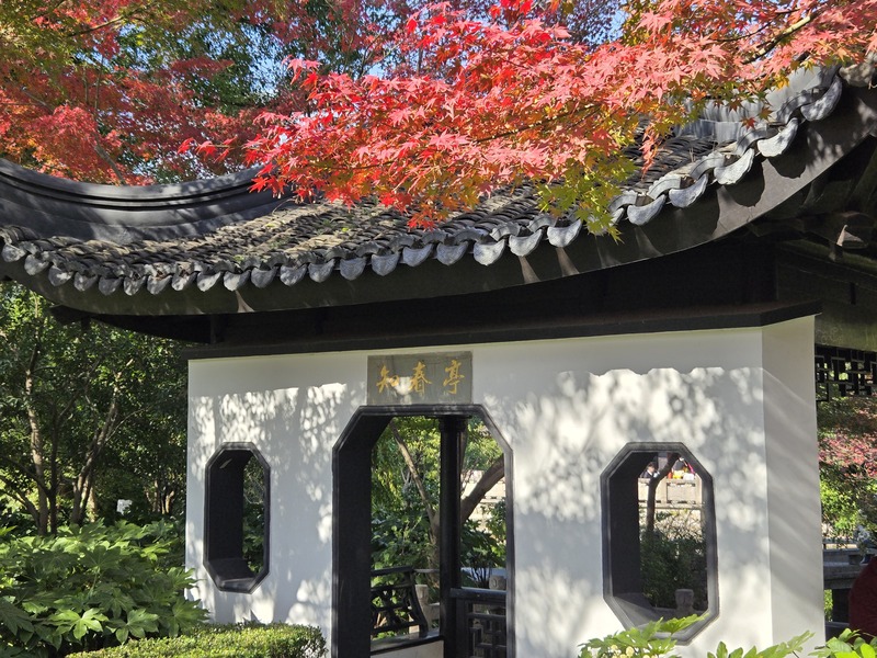 Shanghai: Ein buntes ?Himmelsgem?lde“ im Winter