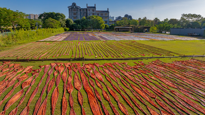Foshan: Ein Meer aus farbenfroher Xiangyun-Seide