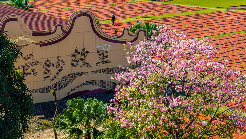 Foshan: Ein Meer aus farbenfroher Xiangyun-Seide