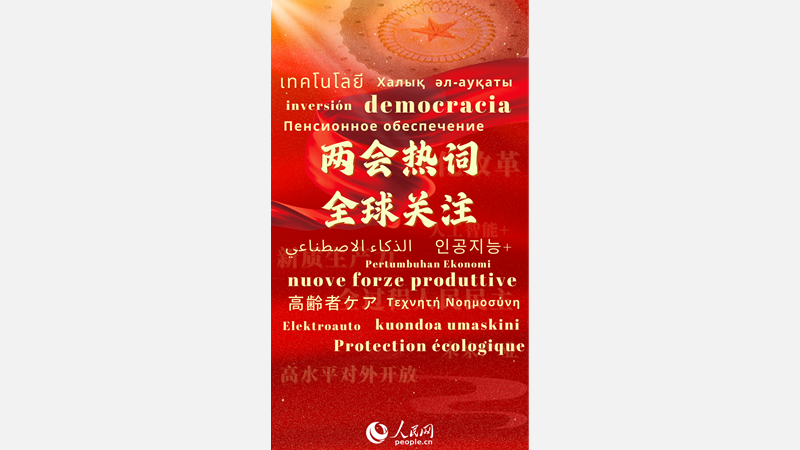 Poster:  Wang Yi über Chinas Au?enpolitik