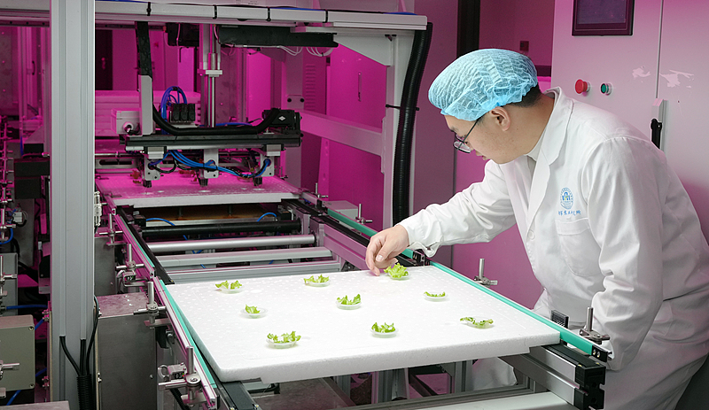 Einblicke in weltweit erste 20-st?ckige vertikale unbemannte Pflanzenfabrik