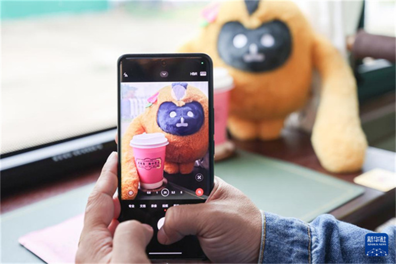 Charmanter Kulturbus für CICPE